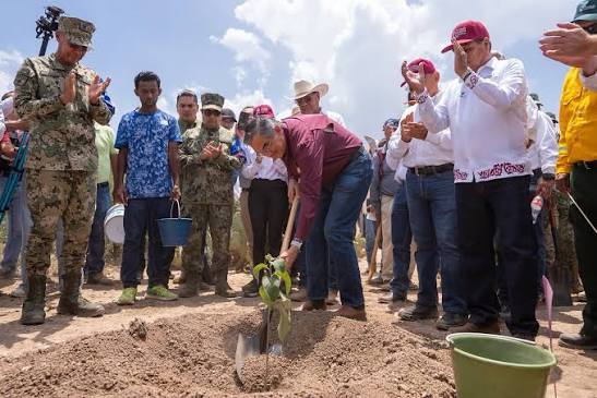 Tamaulipas se suma a la reforestación nacional con siembras en municipios y comunidades